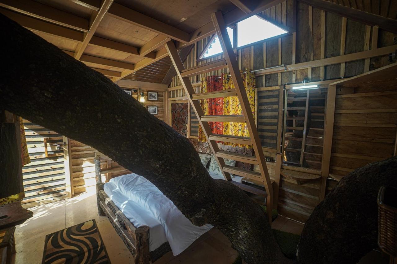 Tiger Fall Eco Resort Chakrāta Eksteriør bilde